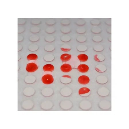 100 Sigilli Sicurezza Sensibili all'Acqua in materiale 3M