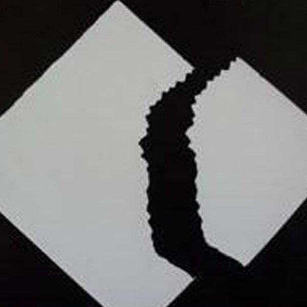 100 Etichette Adesive Sigilli di Garanzia 10x20mm